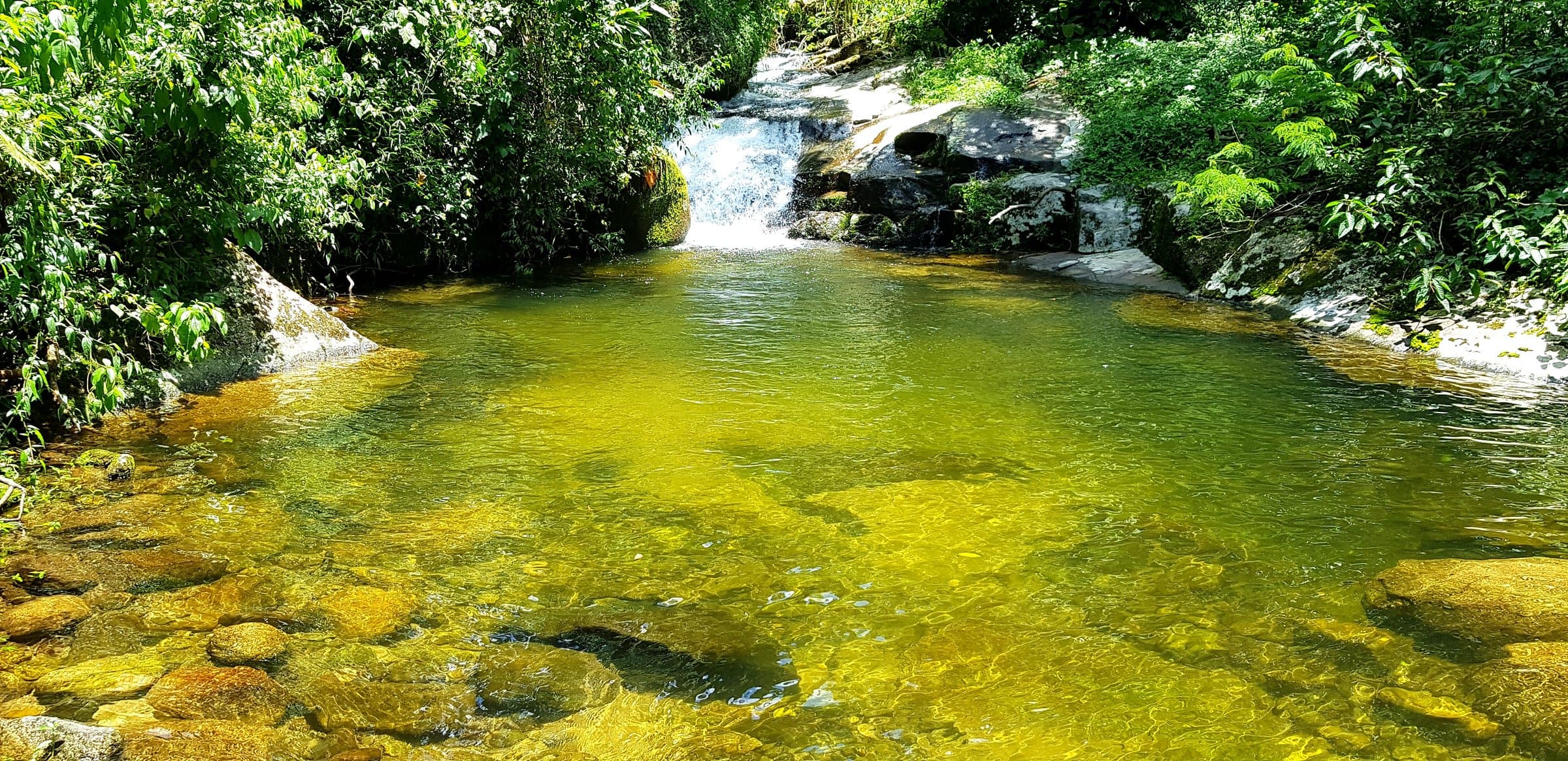 Cachoeira na Mata Atlântica